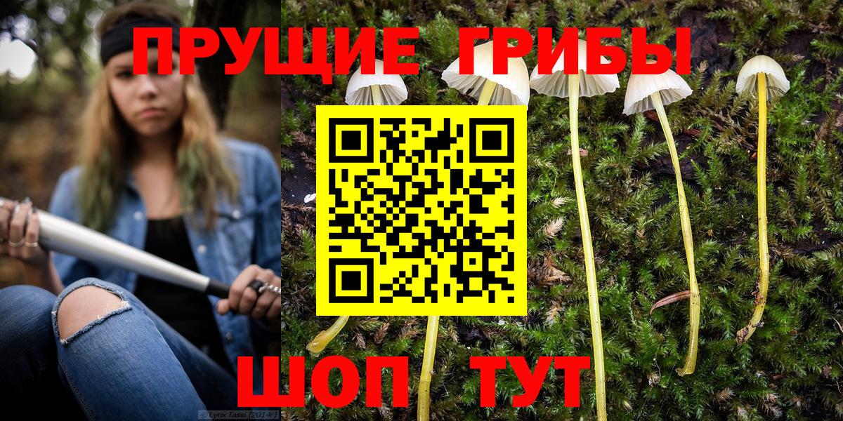 Галлюциногенные грибы ЛСД  Вход с VPN  Кириши 