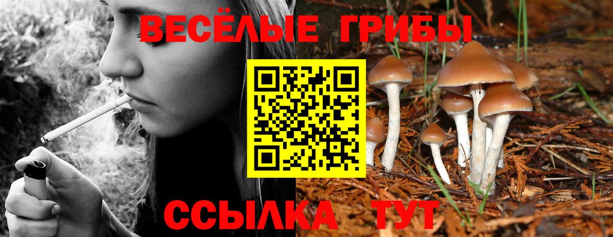 Галлюциногенные грибы мицелий Кириши